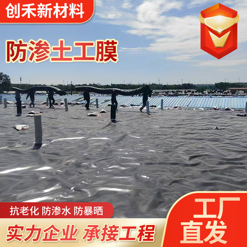 防渗土工膜垃圾填埋场尾矿库hdpe土工膜蓄水池大坝水库加厚土工膜