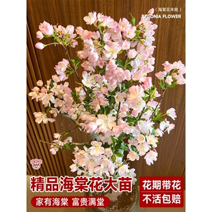 ���z���Ļ������ļ��_�������Ϙ��r����ֲ���辰�Gֲ�҃��껨���B