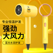 SֱN¿ȤLCpɱʽᴵLͲ_IYƷ