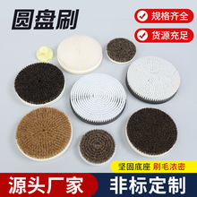 工业圆盘刷抛光尼龙硬毛刷圆形PVC板植毛除尘纳米毛猪鬃圆盘刷子