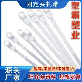 源头工厂固定头螺丝孔尼龙扎带4*150  5*200耐寒强力工业电工束线