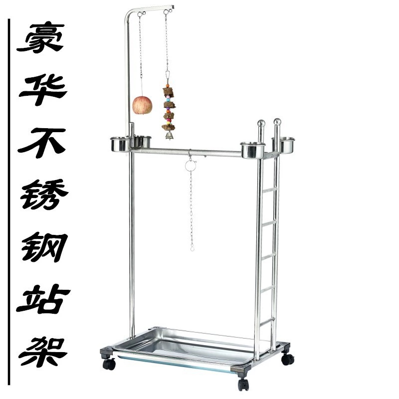 Большая станция из нержавеющей стали серого попугая