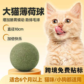 猫咪薄荷球大自嗨解闷神器耐咬逗猫棒洁齿化毛球磨牙用品猫咪玩具