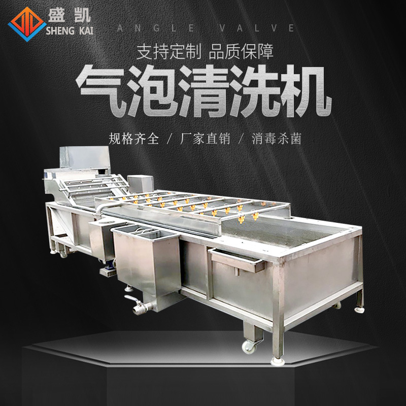 中药材气泡清洗机净菜加工设备水果蔬菜辣椒肉类茶叶清节能机械