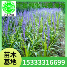 ���l��߅�f���������С���߅��~�������ձ�����������������