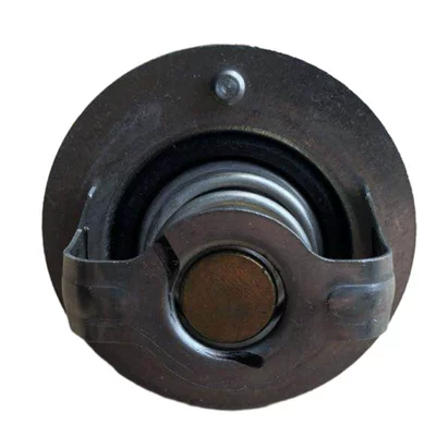 Thermostat lion helax car accessories