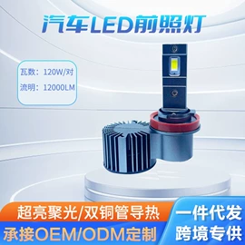 大灯、前照灯;其他车灯;电子模块