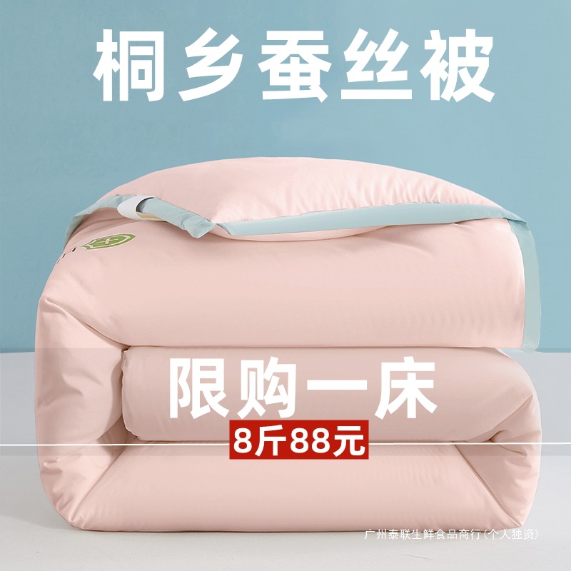 Silk Quilt 100% Mulberry Silk Quilt Winter Thickeneded Cotton Quilt Spring Autumn Winter 5kg Quilt Core to Heattech in Winter