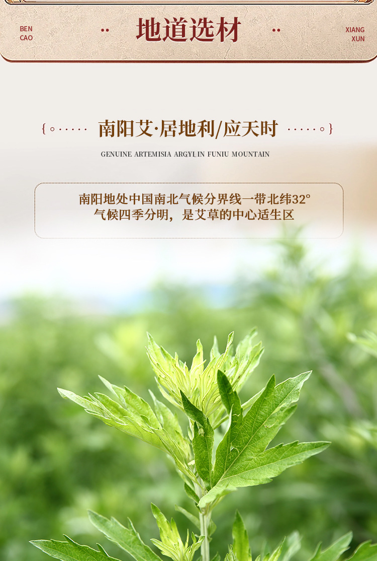 Moxa Sticks Ai Tiao 艾条 9x180mm 10 Sticks Herbal Moxibustion Rolls for Home Warming Care key features