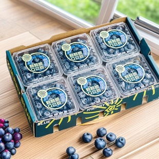 ���\�l؛��ϻ����{ݮ���l�r�����w�����{ݮ���rˮ���߶��س����