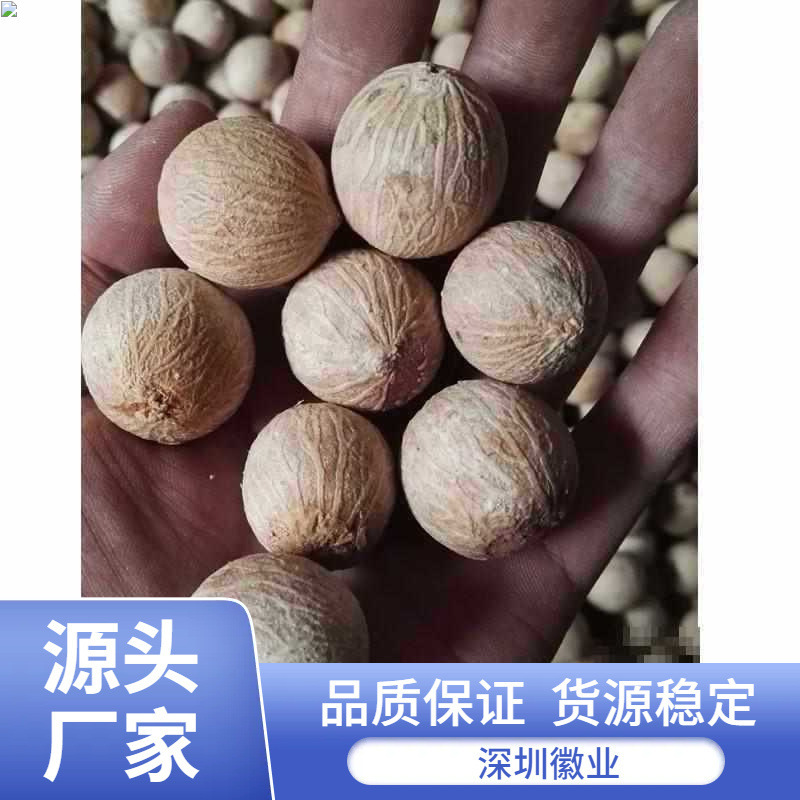 白翡翠菩提根 新菩提種子 白果原果径 - 菩提根大果原料は斤売り|undefined