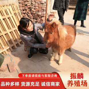 ���a�T�˰��R�O���m���R���w �Z���õİ��_�R�����u�� �����H���U