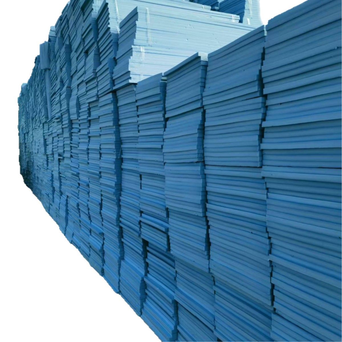 2025-03-24 09:31:06.jpg