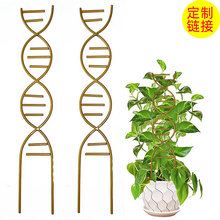 �羳 �҃�������ֲ�ﻨ�@��� ����ֲ�ﳣ���ٻ����P�҃�ֲ��֧��