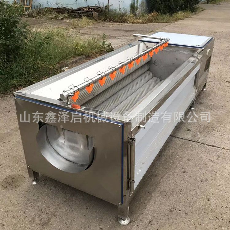 Máquina de limpieza de cepillo de materiales medicinales chinos, máquina de limpieza de barro y pelado de verduras comerciales, limpiadora de caracoles, limpiadora de caracoles de mar image 4
