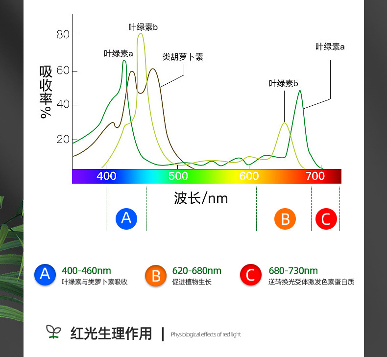 植物生长灯全光谱led仿太阳灯定时usb花卉多肉食虫室内新品补光灯-阿里巴巴