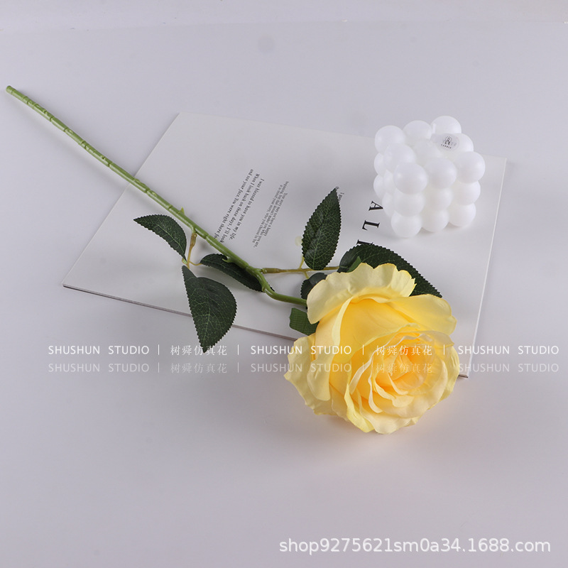 싱글 안나 로즈