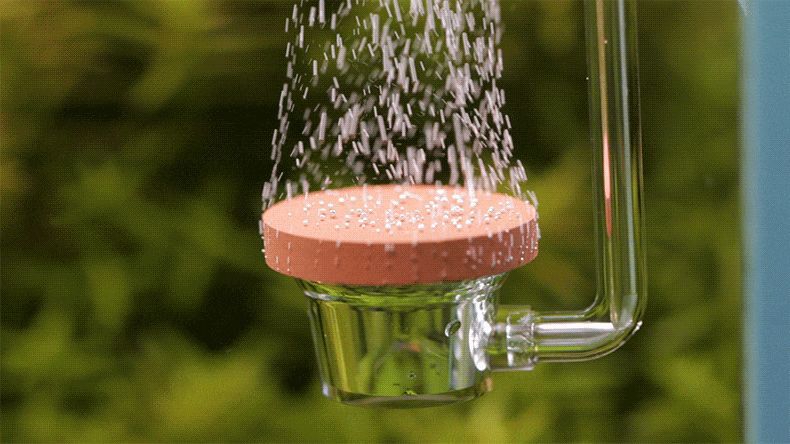 1_13.gif