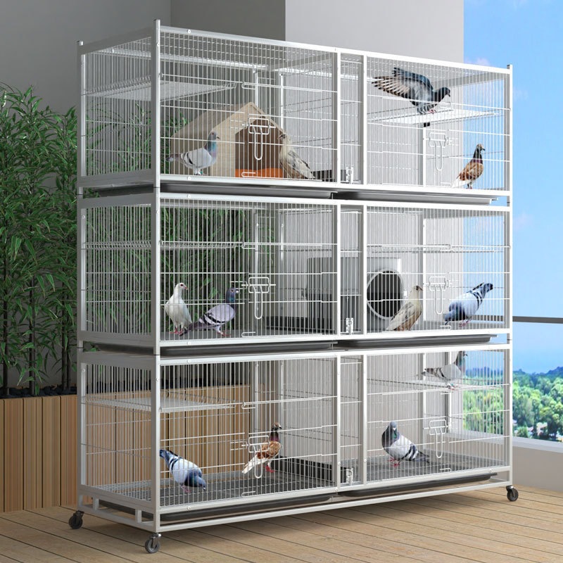 Breeding cage pigeon cage home farming breeding welfare Yuanbao pigeon cage meat pigeon cage