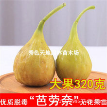 ���S�ش�ń��Οo�������şo�����������Ե��ԷNֲ����Y������