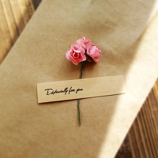 �Y����YƷ�����b�����õ�� ���տ��r�� diy�ֹ�С����