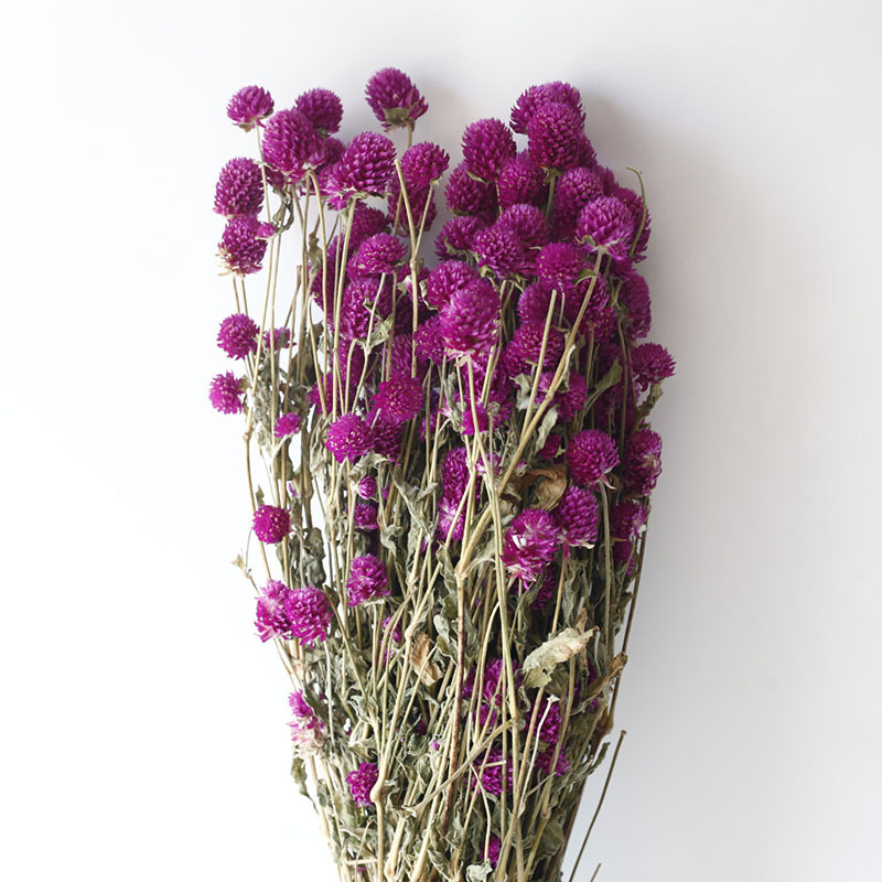 Flor seca Flor eterna Gypsophila Bola de oro No me olvides Flor seca Rosa hoja de eucalipto Pine Fruit Lover Grass al por mayor