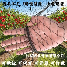 加厚黑色防鸟网园艺防护网透气植物保护罩抗撕裂屏障蔬菜果树植物