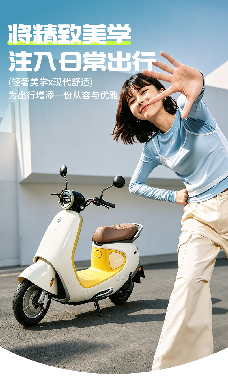 No. 9 Electric Scooter Seat Cover Q380C/Q385C Special Thickened Leather Waterproof and Anti-Slip No. 9 Electric Motorcycle Seat Cover New