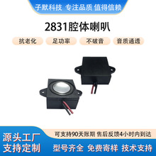2831����ǻ������4ŷ/8ŷ3W��������Ʒ���㹦������������������