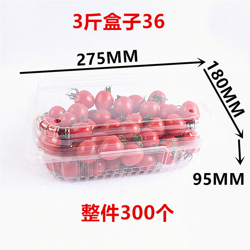 1.5kg박스 36개 300개