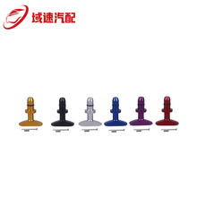 �S��ֱ�N �C�Ϳ����ֱ� 1999-2011 �m�ø���Ұ�RGT V8 GT500