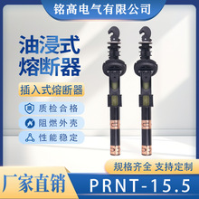 美式箱变油浸式插入式熔断器PRNT-15.5KV熔断器支架双敏熔断电子