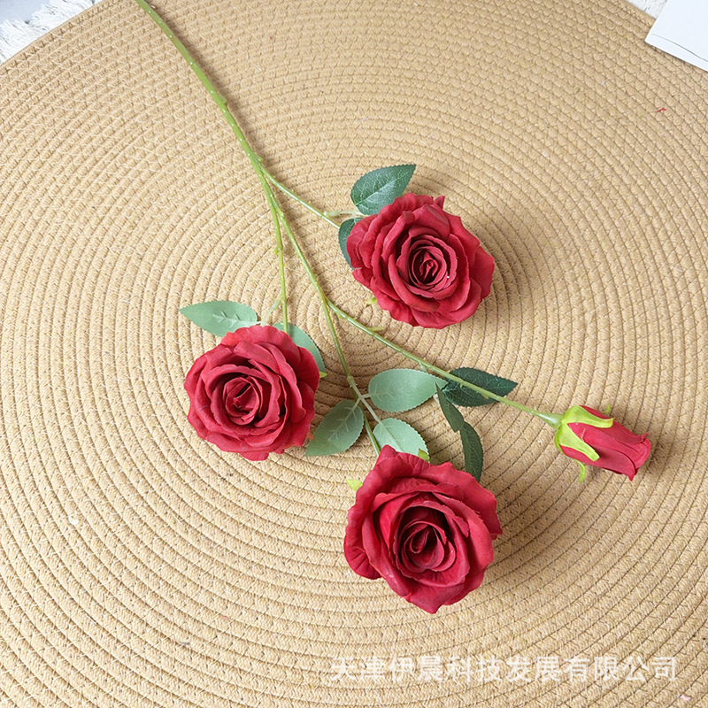 아카시아 장미 4송이 - 레드