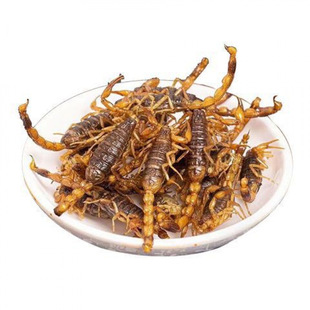 ����ըȫϐ��ɽ�|С���_����ʳ�����¾Ʋ������خa��ϐ�ӬFը�F�l