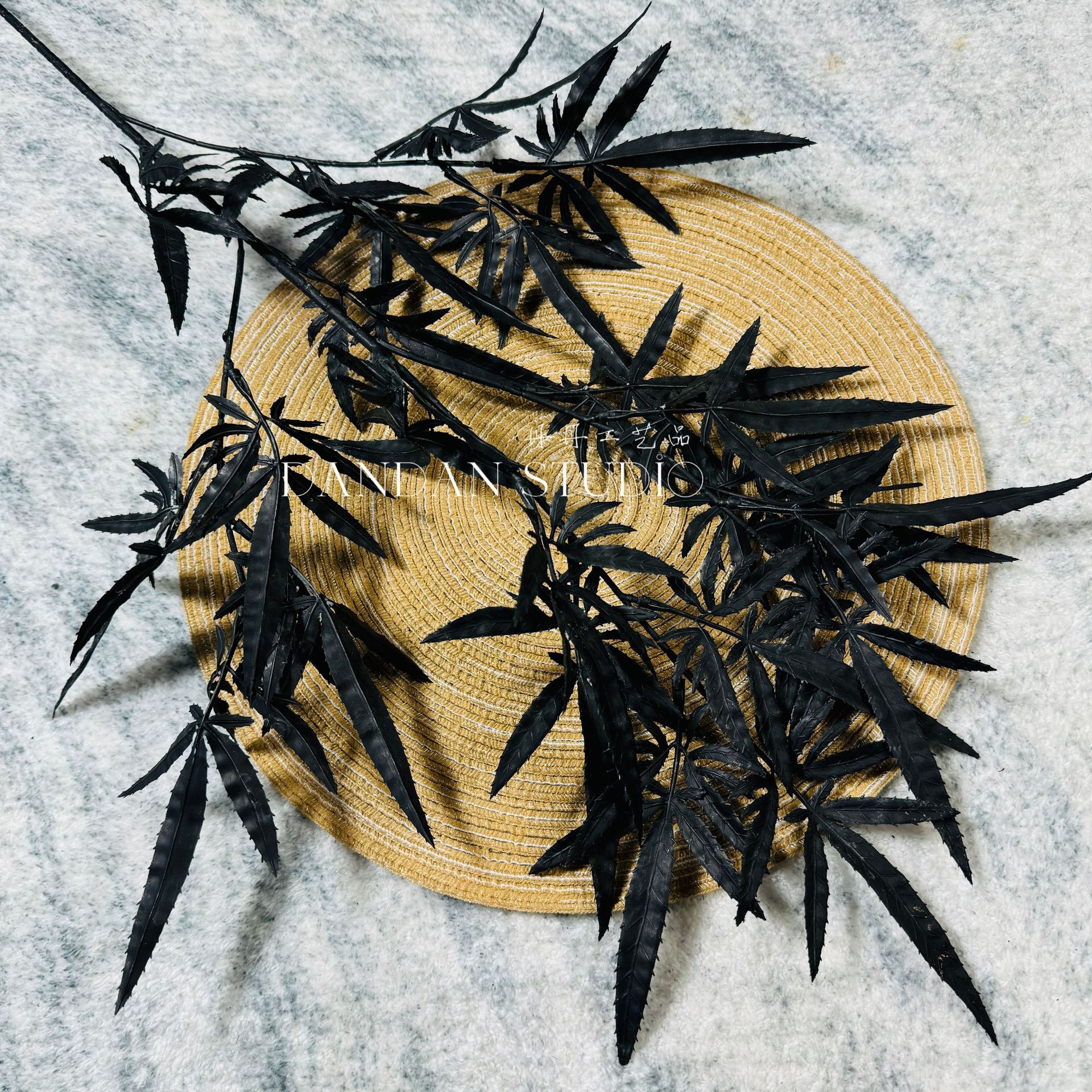 닭발 단풍잎