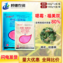 �G���z�İ� 80%�f��ù�`�����p�޻���ή���������������rș������