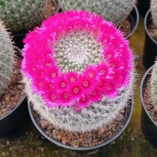 ���������򎧻���С��������Gֲ�̨ʡ�����ݗ���������ȫ�¿�