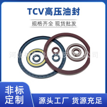 厂家直供TCV高压油封密封圈BABSL耐高温高压丁晴橡胶氟胶高压油封