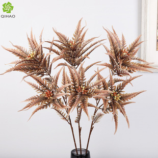 Gֲ2PβާݼҾb֧ëֲˇ廨