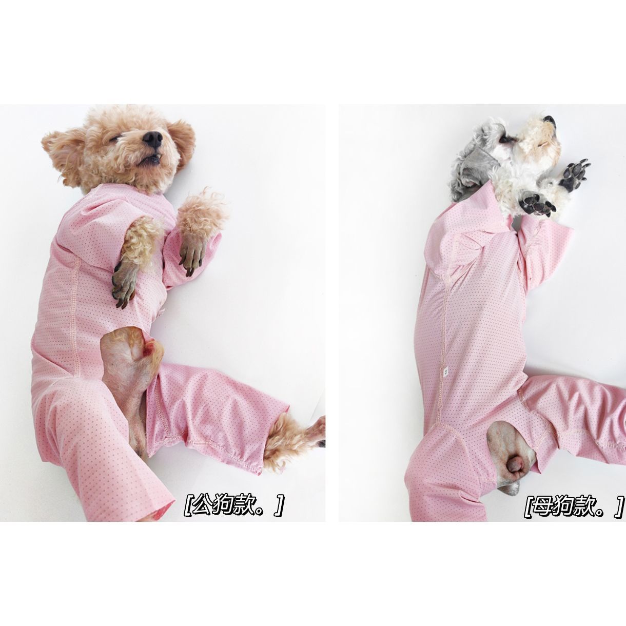 Teddy Bichon Puppy Cooling Clothes, Sun Protection, Insect-proof, Ice Silk Cooling, Thin, Seamless, Belly-covering_voghion.com
