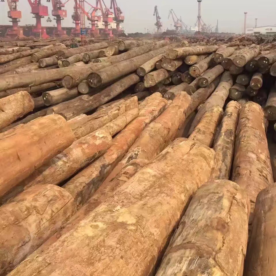 2023-10-25 14:30:01.jpg