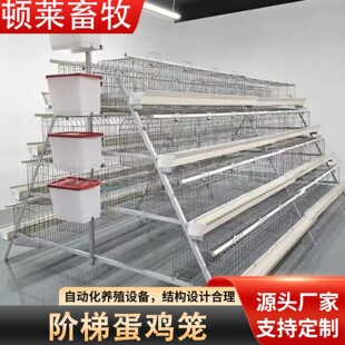 �A�ݵ��u�\�Č����TA�͵��u�\�B�u������\�Bֳ�\�ӯBʽ�Bֳ�u�\