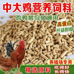�S��ֱ�N80���u���ι�uС�u�_�����u���ʵ��u�a���w�����