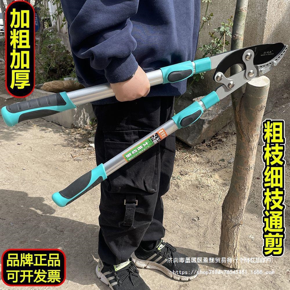 园林剪树枝大剪刀粗枝果树修剪大剪子长柄新款树枝剪