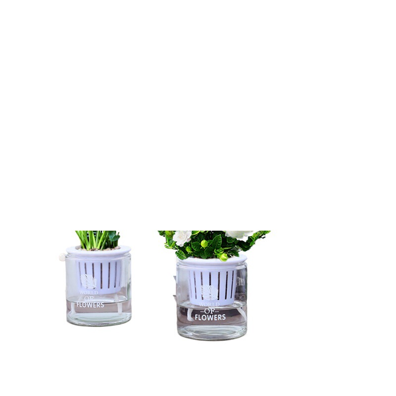 Gardenia Potted Plants, Glass Hydroponic Plants, Money Tree, Asparagus Fern, Green Radish, Lucky Bamboo, Indoor Air Purifying Green Plants Gardenia Potted Plants, Glass Hydroponic Plants, Money Tree, Asparagus Fern, Green Radish, Lucky Bamboo, Indoor Air Purifying Green Plants