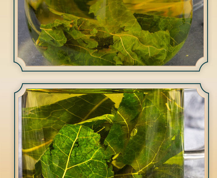 Mulberry Leaf Tea Sang Ye Granules 120g Canister Frost-Harvested Sugar Free Cold Brewed Herbal Tea quality and texture