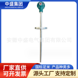 WZP-430�b��ʽ�����PT100 0-300�� L=800*700 &phi;25����׃DN25