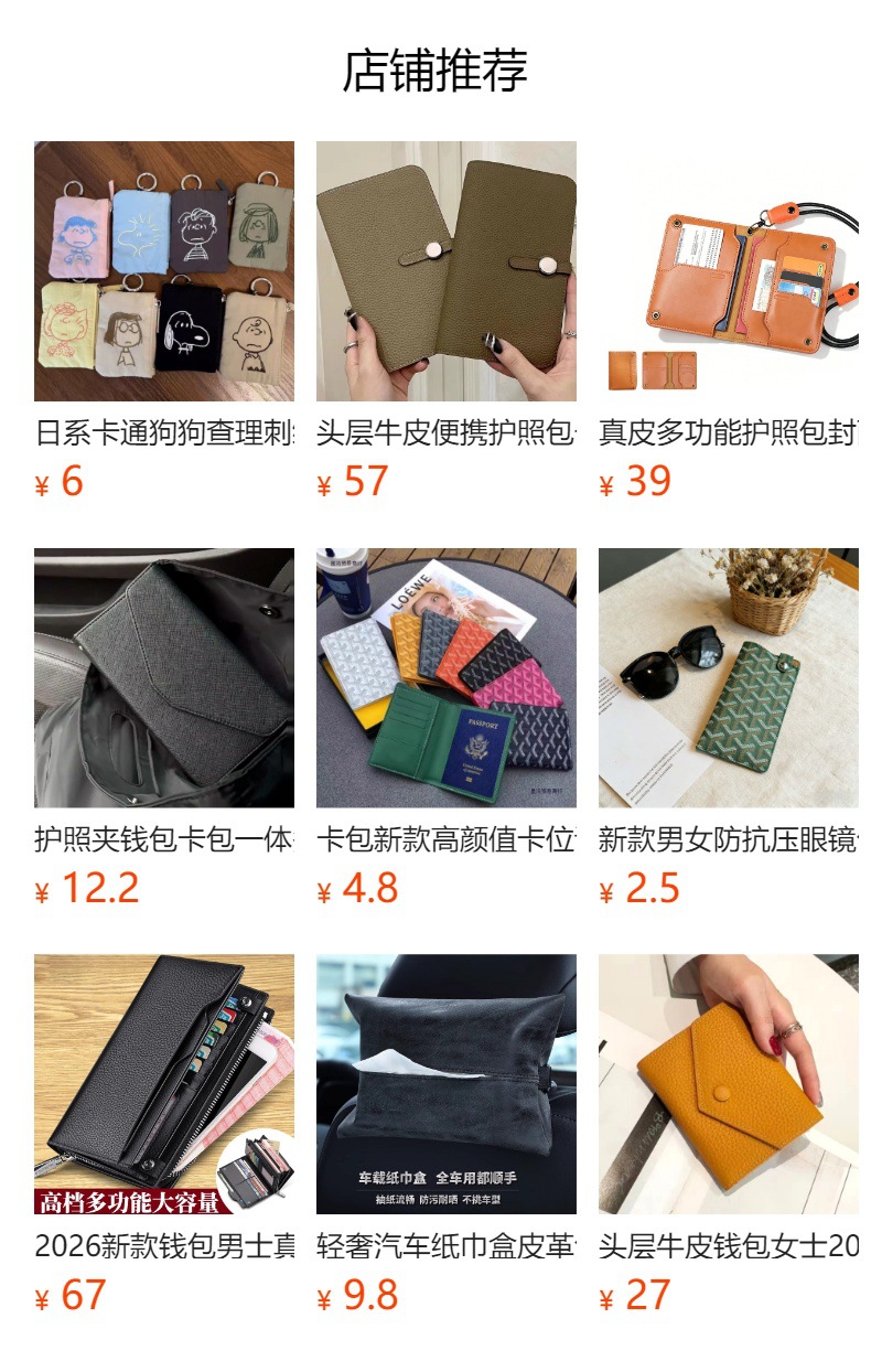 Reisepass-Organizer, multifunktional, Damen, All-in-One
