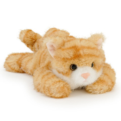 抱きしめられるベビーポケットシリーズ子猫ストレス解消パームドールぬいぐるみ卸売デスクトップリストレストぬいぐるみ