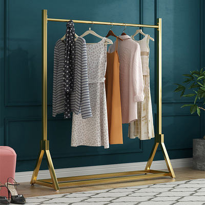 Simplicity Clothes hanger to ground bedroom household Coat rack indoor multi-function Clothes hanger Iron art Clothes rack Bold